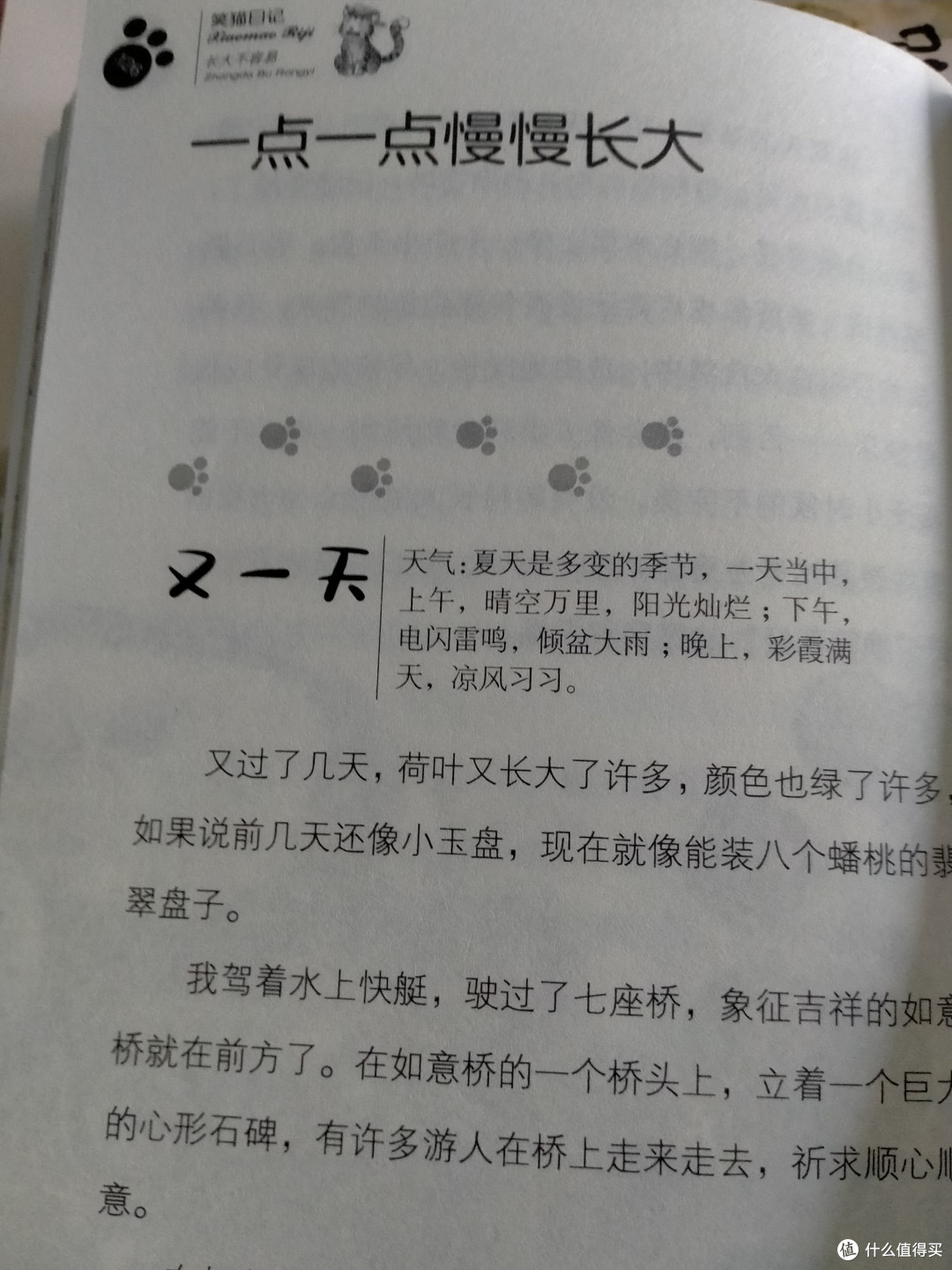 笑猫日记里的那些事儿…