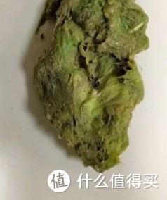 如果你家猫咪有以下这些症状一定要注意了！ 