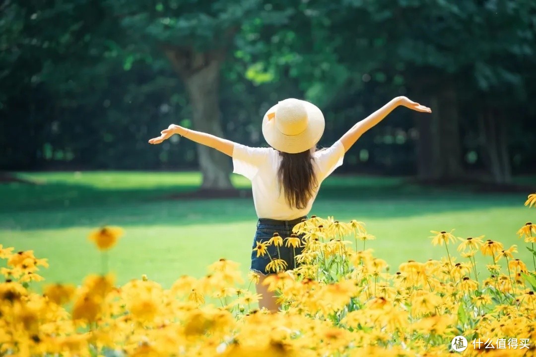 致敬夏天的那些小美好