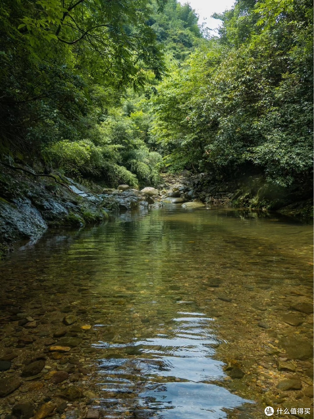 夏日溯溪丨大野洼真的很野！