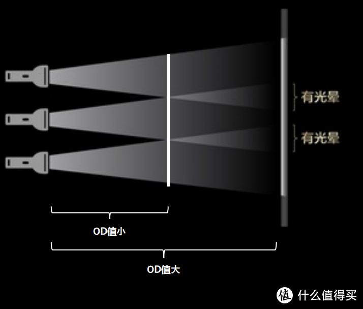 截屏2024-04-26 21.14.05