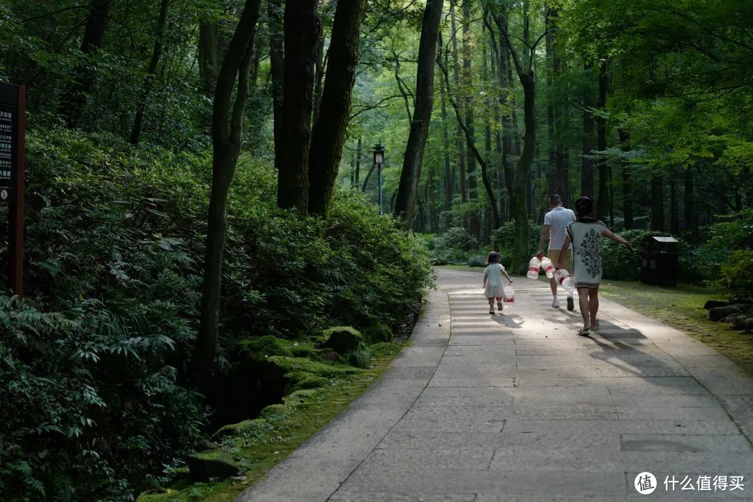 夏日避暑天花板，除了这里我真想不到其他了