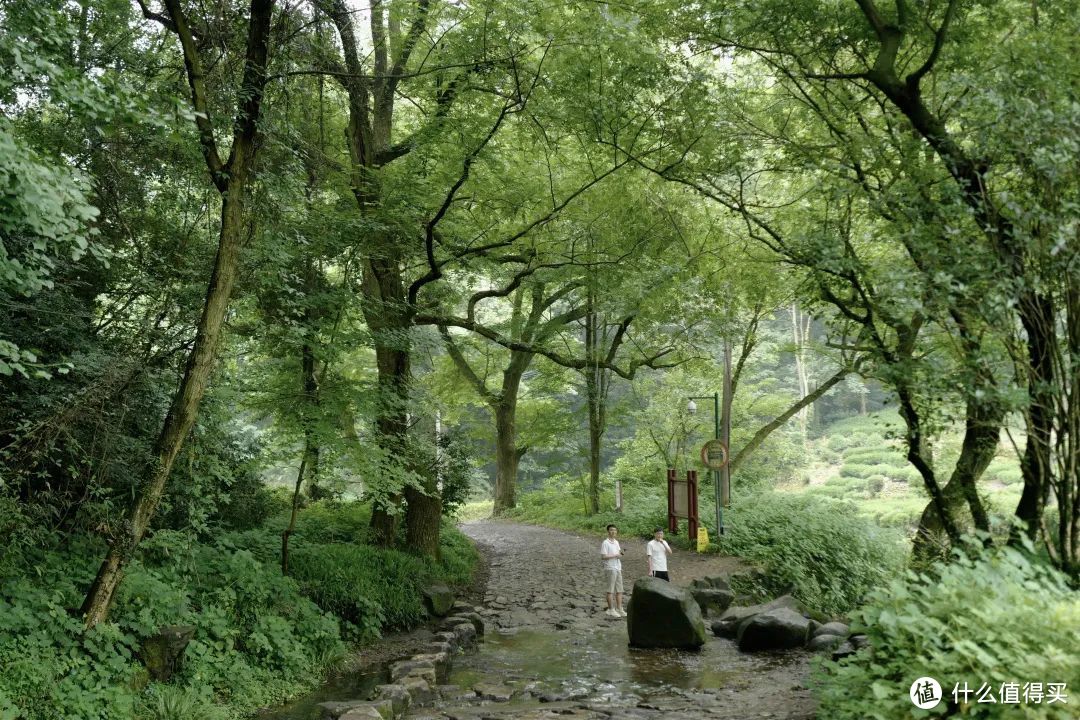 夏日避暑天花板，除了这里我真想不到其他了