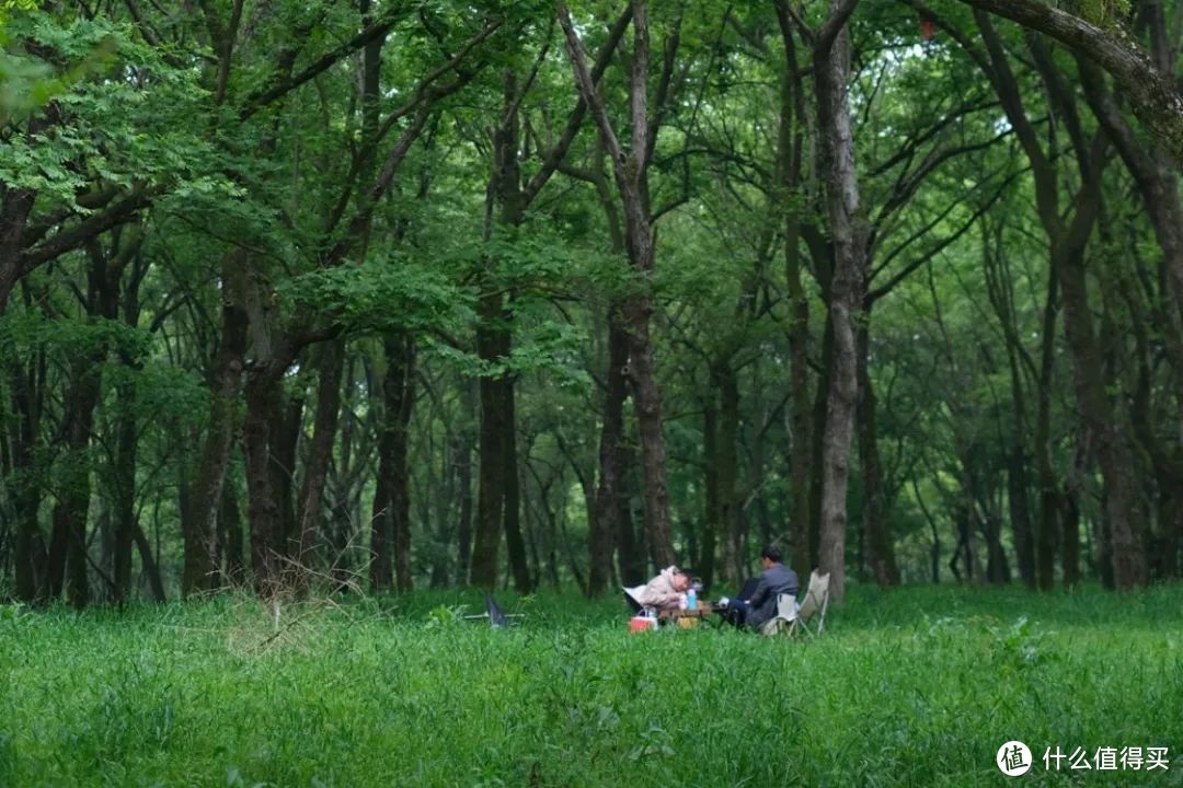 夏日避暑天花板，除了这里我真想不到其他了