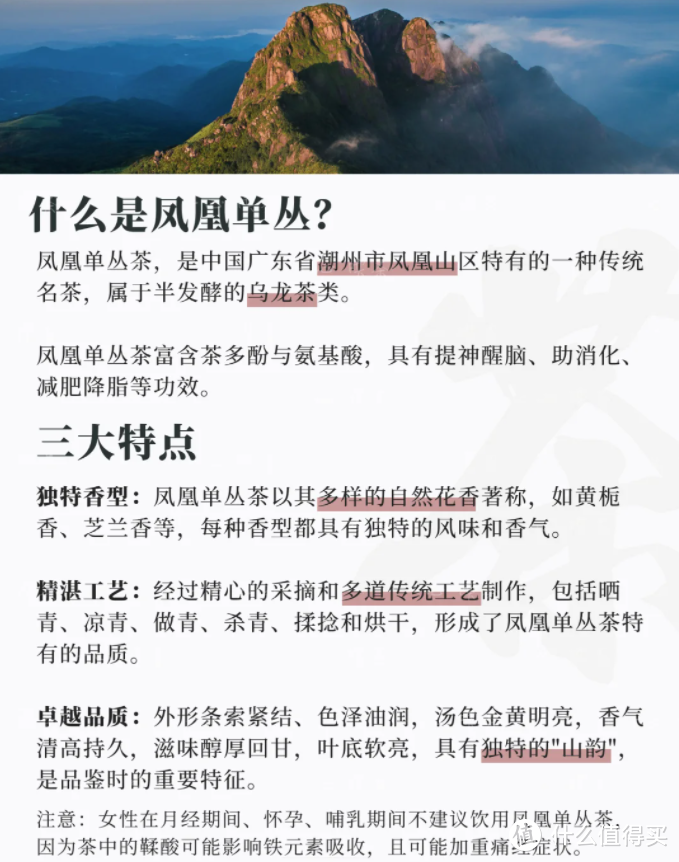 凤凰单丛怎么入门？凤凰单枞茶什么品牌好？