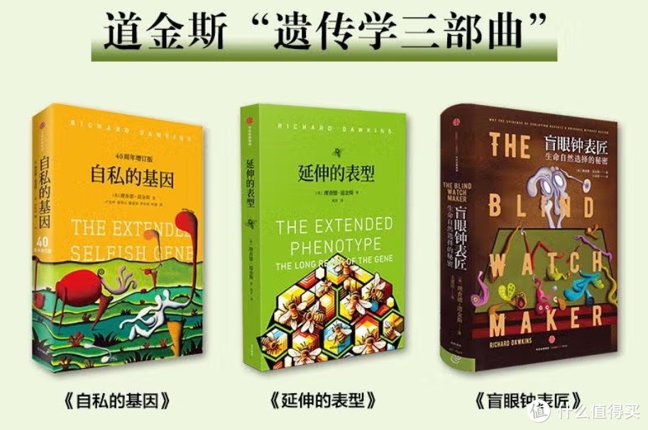 自然选择是瞎子，但又如此完美。《攀登不可能之山》分享