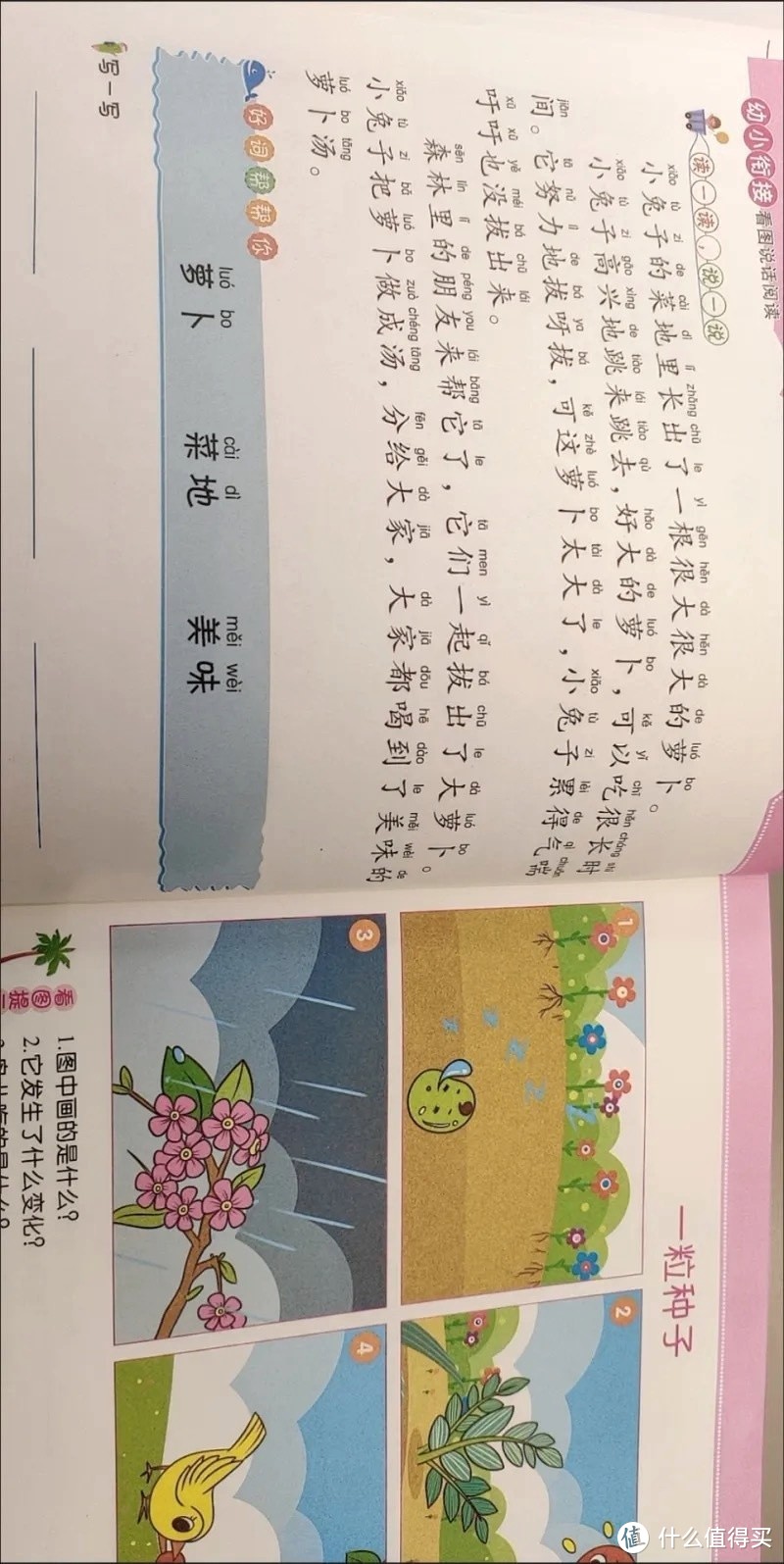 暑假阅读计划，宝宝识字大王