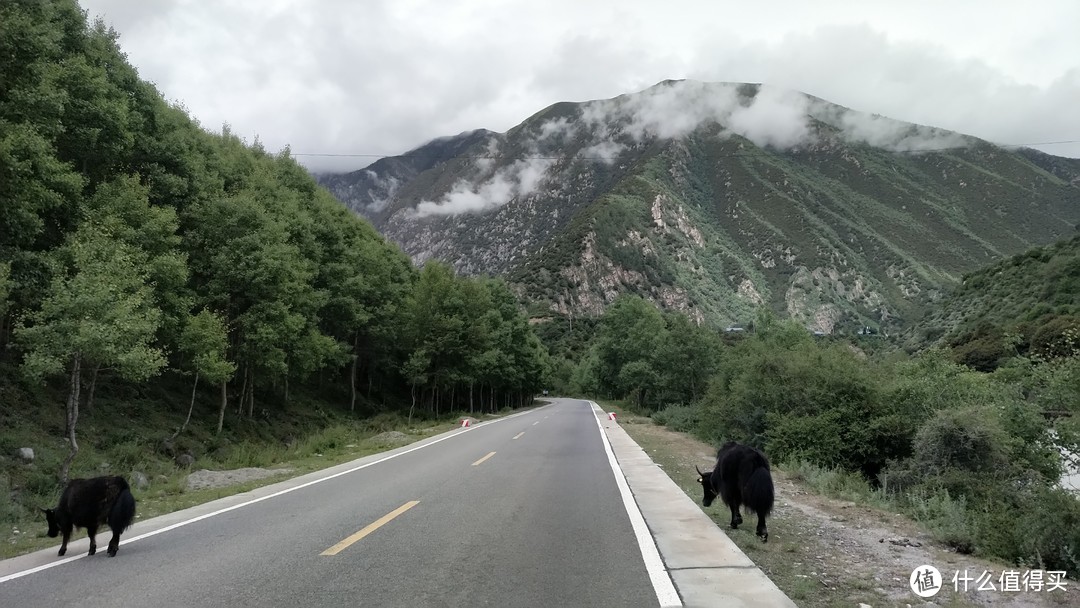 心心念的摩旅拉萨，居然在疫情期间达成了