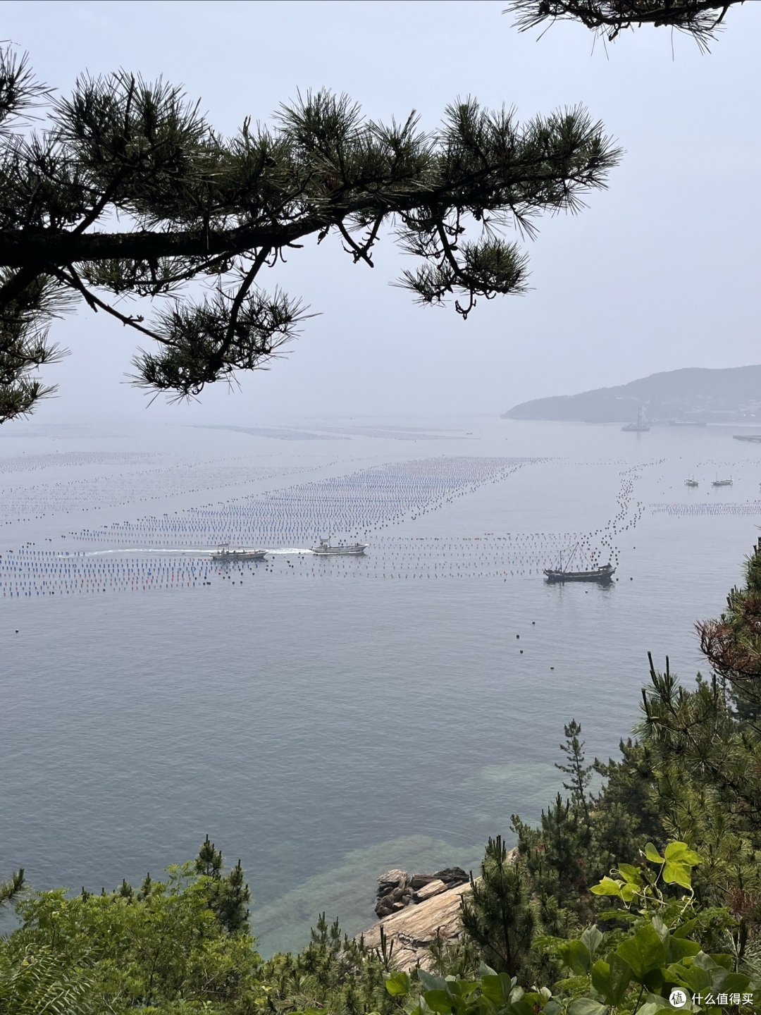 北方玻璃海獐子岛到底值不值得去怎么去