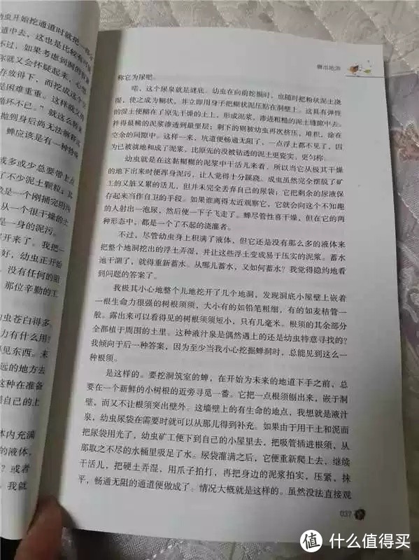 暑假必读-《昆虫记》