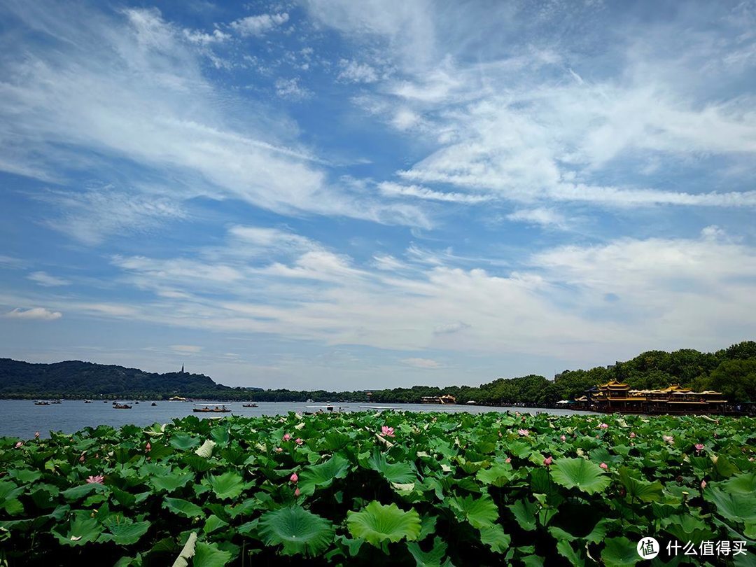 出游随拍，夏日烟雨蒙蒙的西湖美景尽收眼底