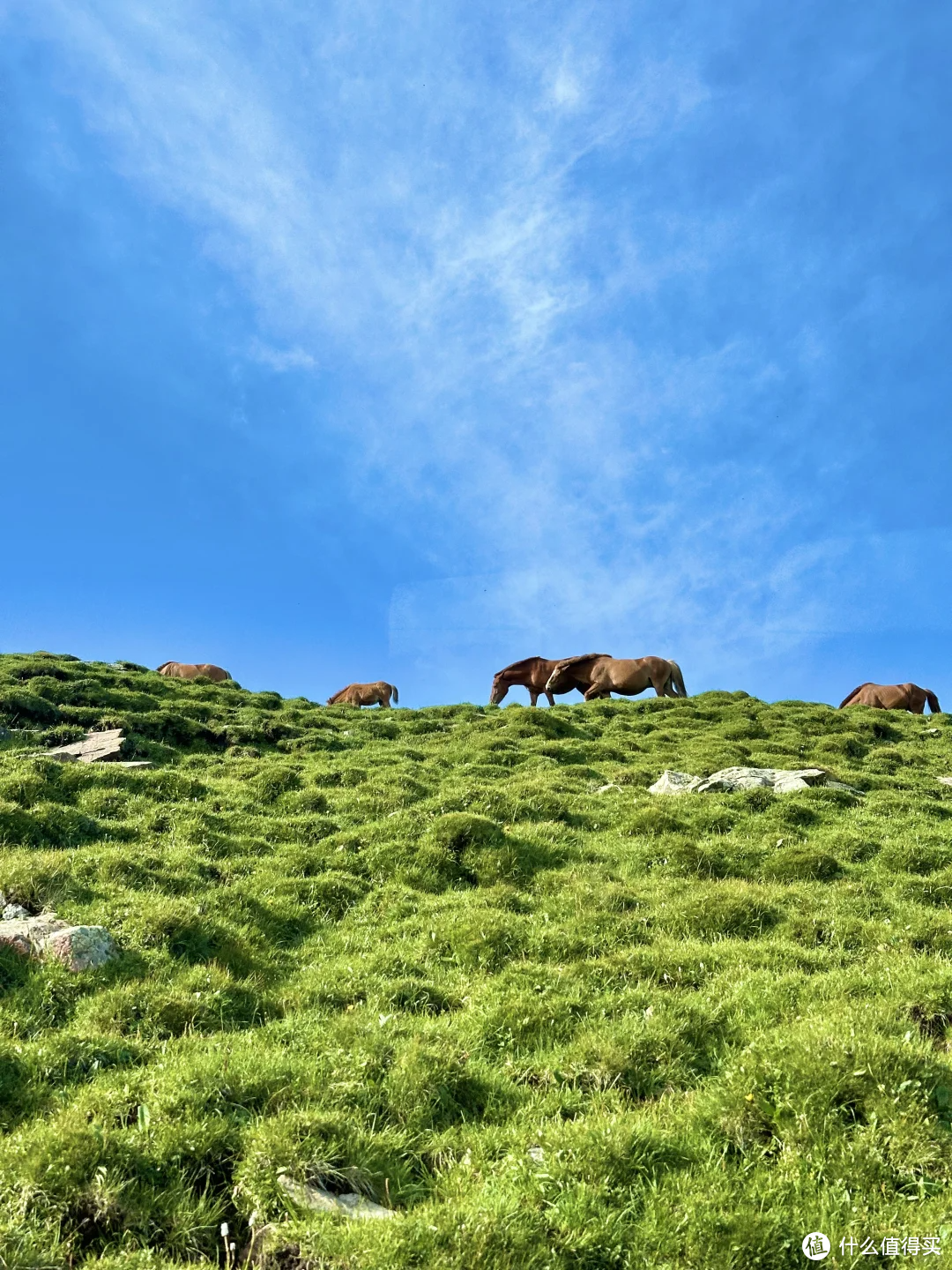 盘点全国著名山川之山西