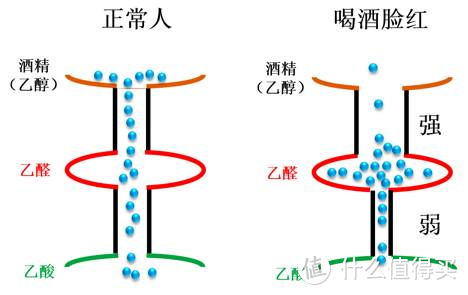 白酒知识 | 喝酒脸红的人到底能不能喝？