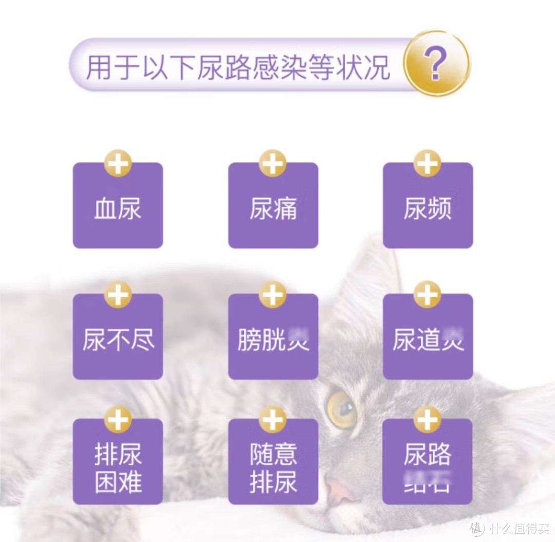 狗狗猫咪福音！杜力德乐乐宝，告别尿结石烦恼！