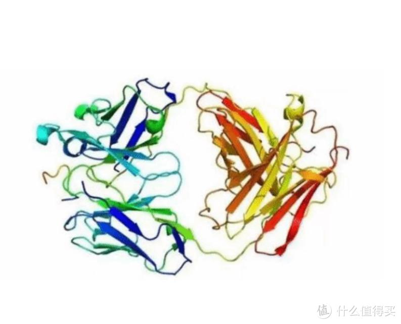 了解骨桥蛋白在奶粉中的作用，选对奶粉不迷茫