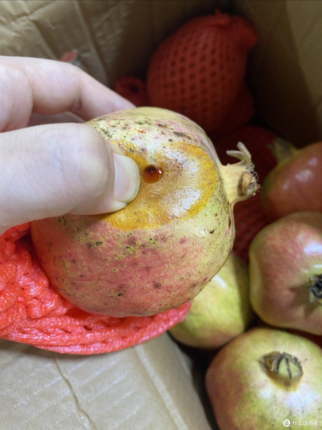 秋天是石榴的季节