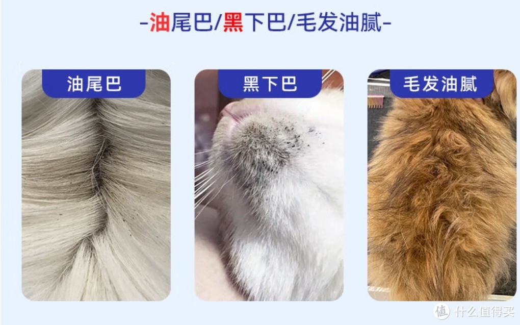 长毛猫福音！DAVIS去油膏沐浴露，让猫咪告别油腻烦恼