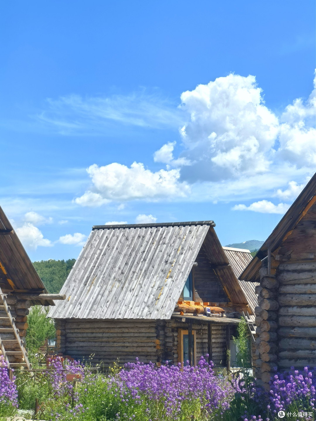 day45:禾木村闲逛发呆 - 宿北屯市得仁山花园酒店 行政套房