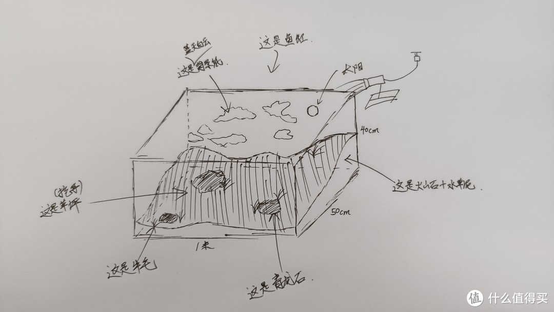 鱼缸造景：手工党意识流造景之「青青草原计划」