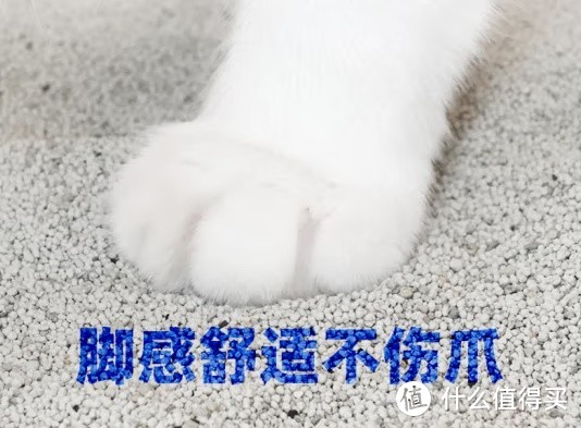 洁客 椰壳活性炭膨润土混合猫砂：为爱猫打造的健康舒适之选