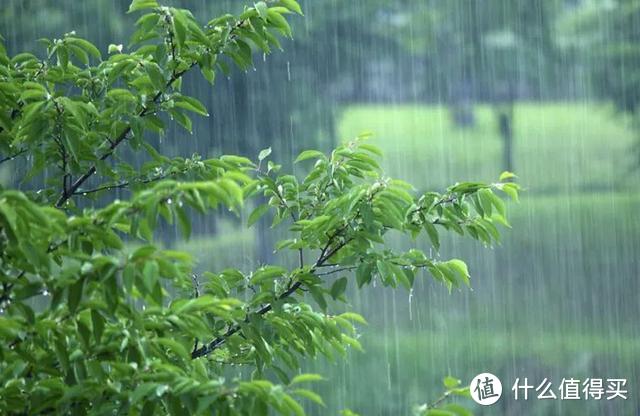 今日处暑，老话：“处暑下雨万人愁”，下雨不好吗？看农谚咋说