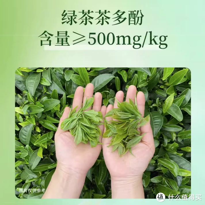 编辑测评团：测评6大箱三得利无糖茶饮料，从茶多酚含量、茶叶添加量到香气口感评价，教你手把手选购不踩雷，千万别轻信网红DIY调配方，谁信谁哭！