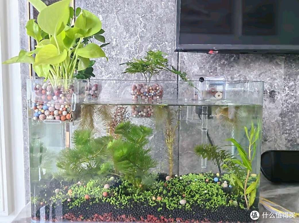 造景专用水草泥，构建健康水族世界