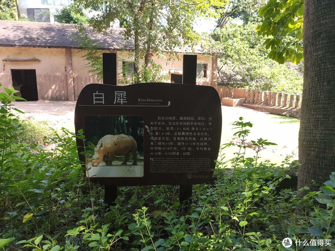 驰骋祖国大地，非主流重庆亲子旅游线路推荐