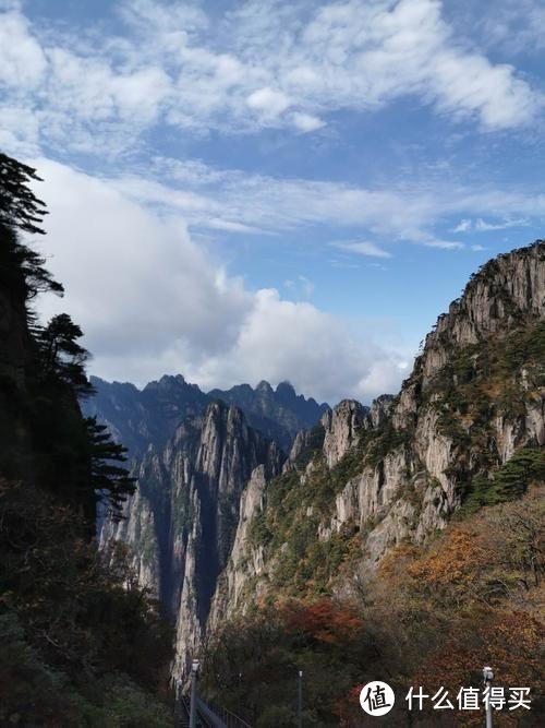 圣女果在现代农业中的应用与前景