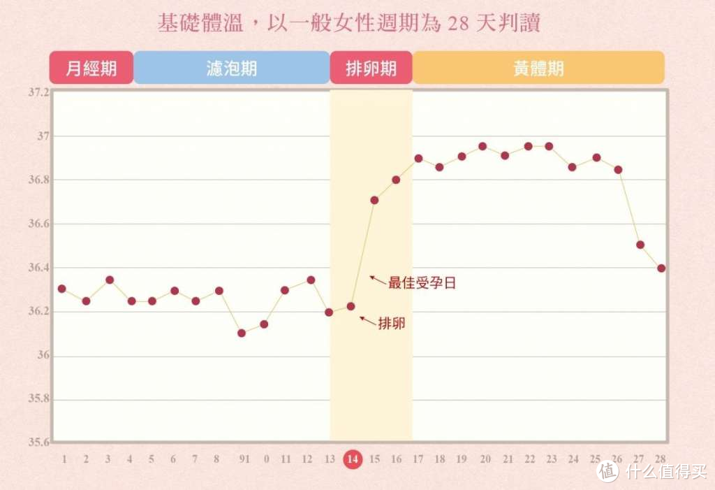 如何科学备孕？看这篇超详细科学备孕指南就够啦！