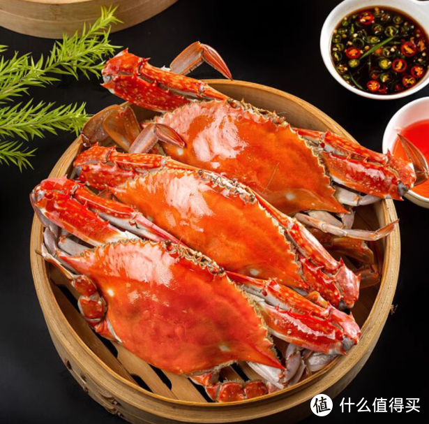 🦀解锁海鲜盛宴！3斤特大梭子蟹，每一口都是海的味道🌊