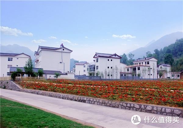 构建健康友情：基于科学的研究与实践