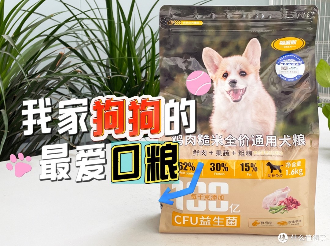 养宠必备神器！福派斯鲜肉犬粮，让狗狗健康成长每一天！