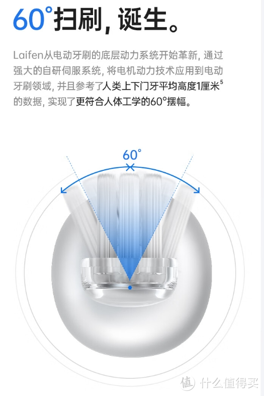 对于小家电，我的建议是，不要买进口不要买大牌。