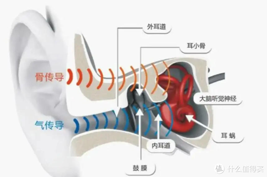 我的运动好伙伴：南卡Runner Pro 5骨传导耳机使用体验分享