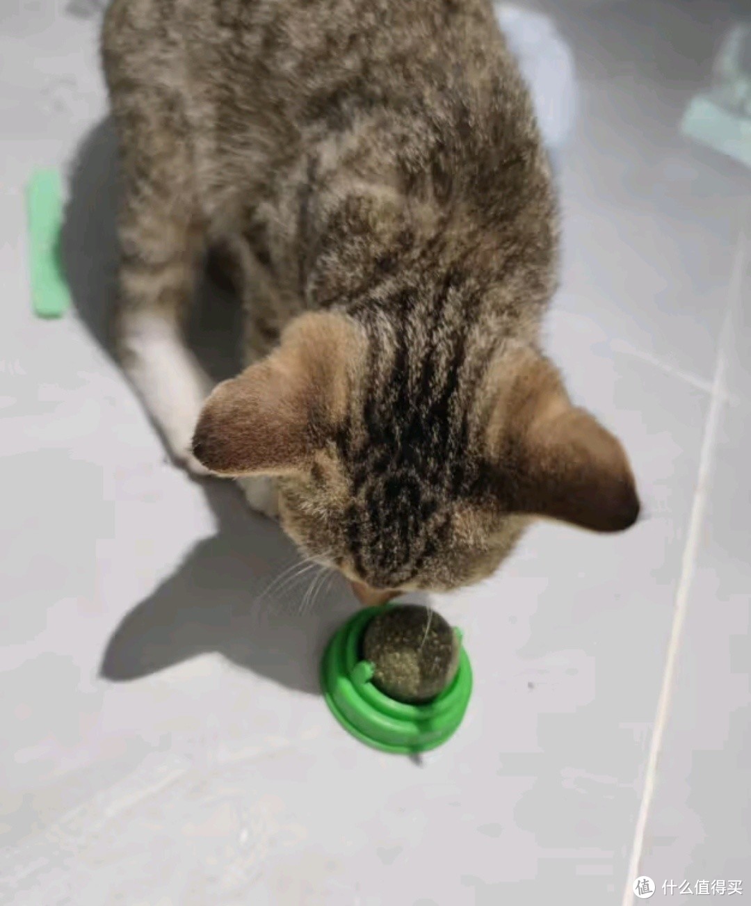 猫咪自嗨神器！猫薄荷球磨牙棒，让您的爱宠欢乐无限