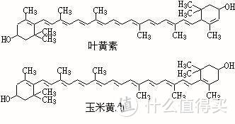 儿童护眼吃叶黄素是智商税么？叶黄素选购攻略