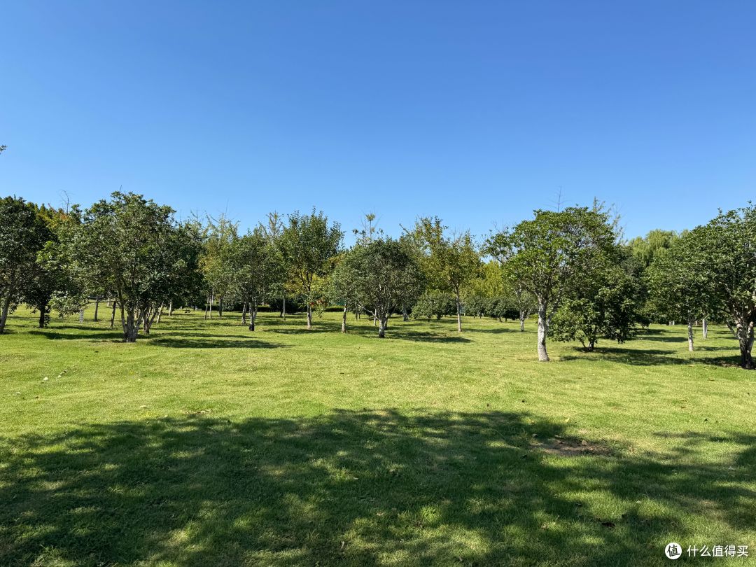 手持iPhone15和16两代 Pro Max 聊聊使用感受的差异