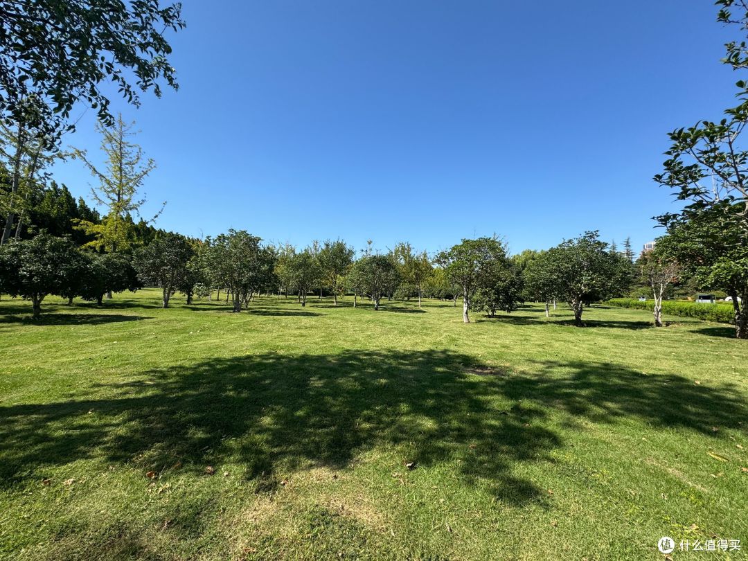 手持iPhone15和16两代 Pro Max 聊聊使用感受的差异