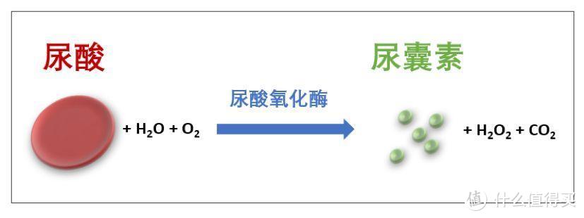 不痛风就不怕尿酸高？预防远胜于治疗——尿酸检测仪/试纸选购攻略