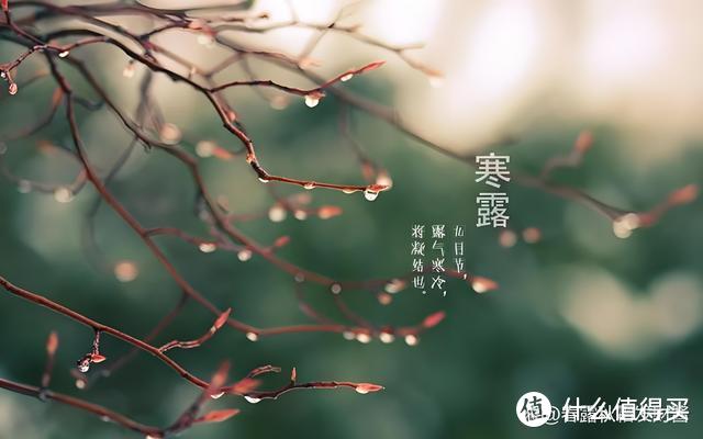 “早寒露，白雪皑皑；晚寒露，春节穿袄”，今年寒露是早是晚？