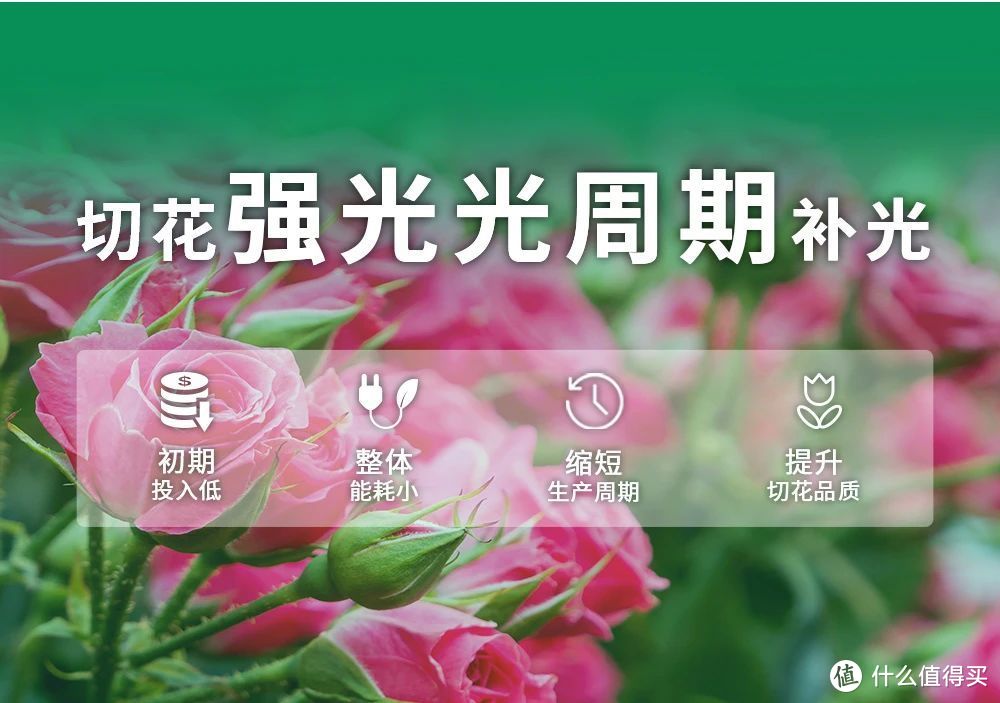 昆明国际花卉展丨上海三思植物照明助力全球花卉产业发展