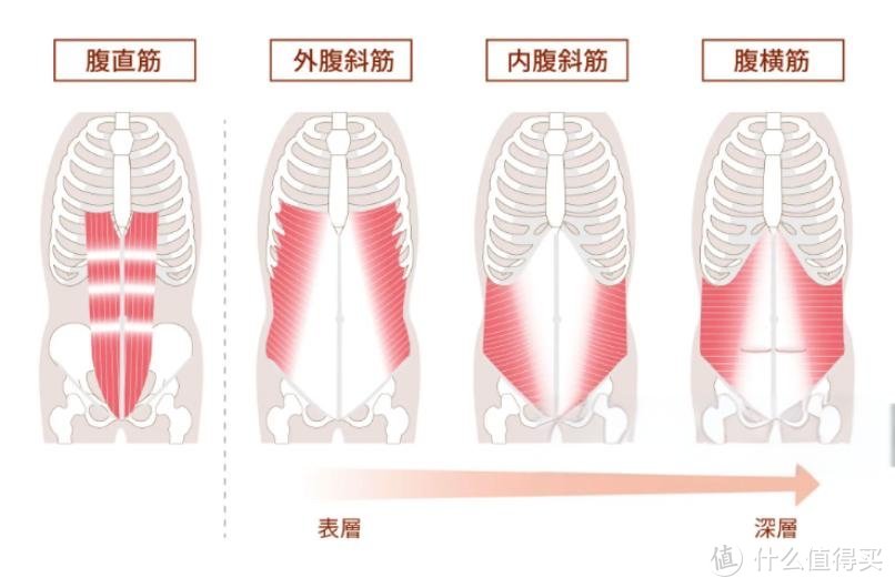 研究了3天，我的腰肌劳损终于有自救思路！