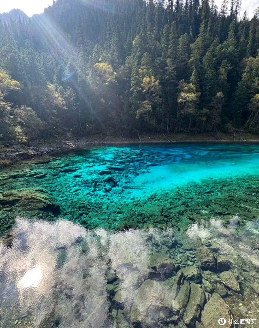 亲历九寨沟美景，感受大自然的神奇魅力！