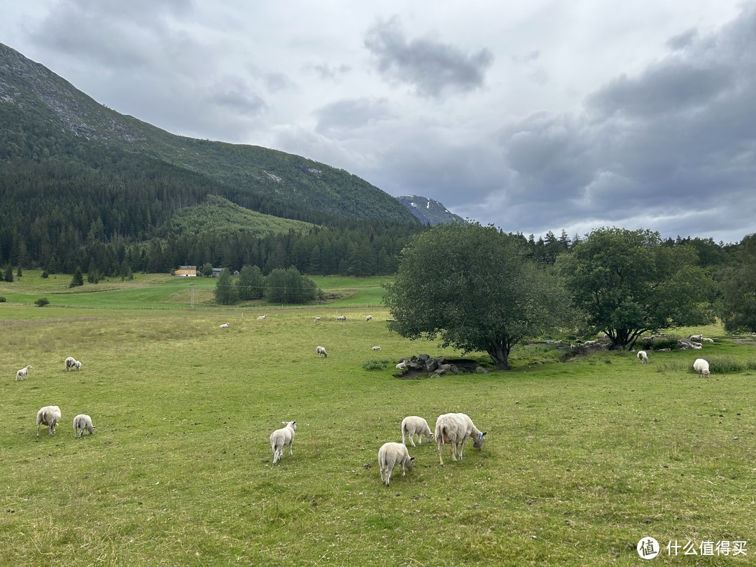 迟到四年的挪威亲子之旅—篇六（下）： 7月4日—不可复制的绝对深度，Hardangerfjord峡湾公交游......