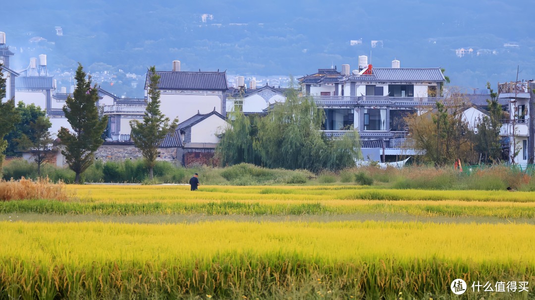 国庆在大理，拍到稻田➕三塔同框，附机位和美食攻略