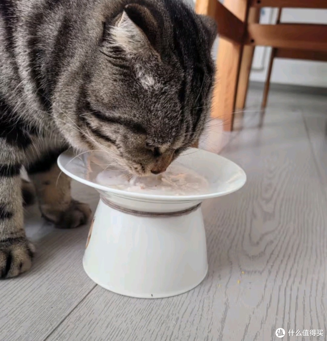 回购n次的麦富迪 猫湿粮包猫条猫罐头拌饭营养冻干猫零食 混合装85g*12