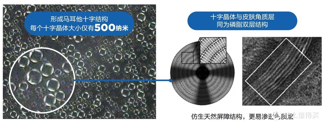 修护、舒缓、紧致、抗皱，一罐MEDATURE褒曼修润霜4号就够了