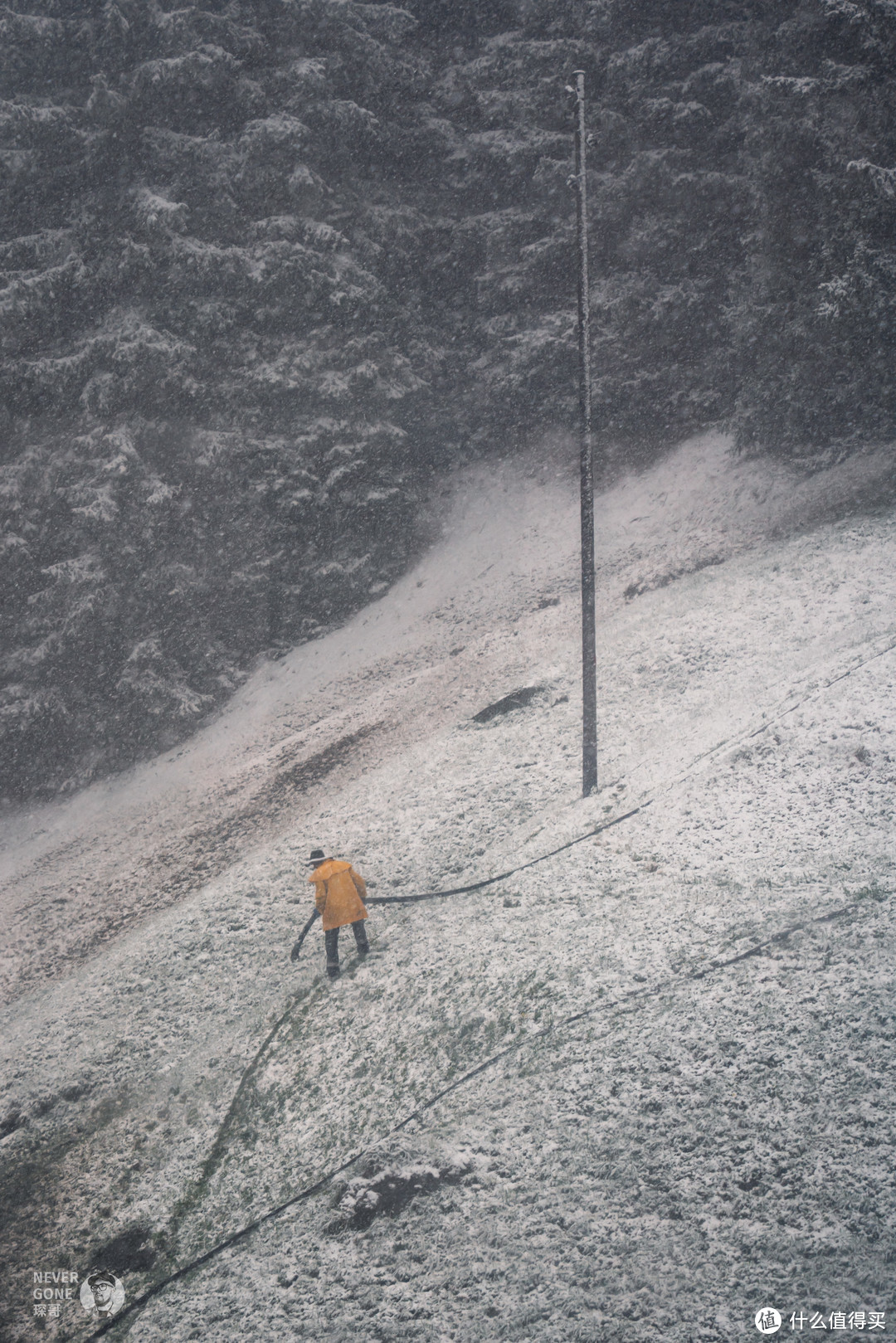 瑞士小镇拾遗：斯皮茨、萨尔嫩、劳特布龙嫩（雪朗峰）等等