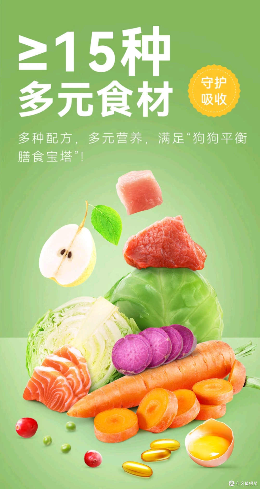 性价比狗粮评测：看看哪款更适合你家的毛孩子